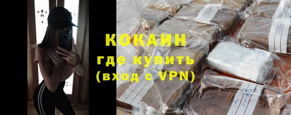 гашик Верея
