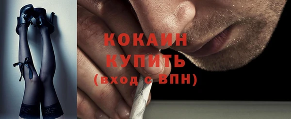 прущие грибы Верхний Тагил