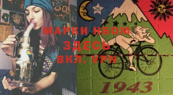 гашик Верея