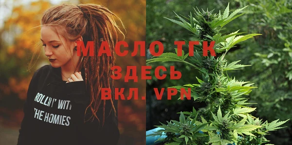 прущие грибы Верхний Тагил