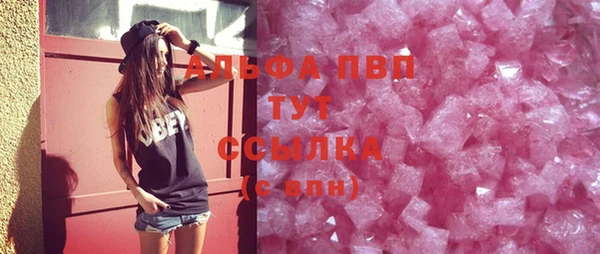 прущие грибы Верхний Тагил