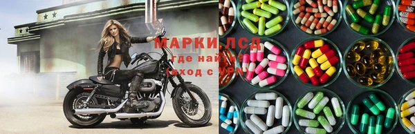 прущие грибы Верхний Тагил