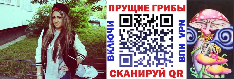 Псилоцибиновые грибы GOLDEN TEACHER  ОМГ ОМГ онион  Вяземский 